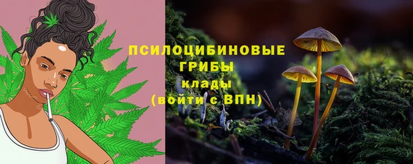 PSILOCYBIN Бронницы